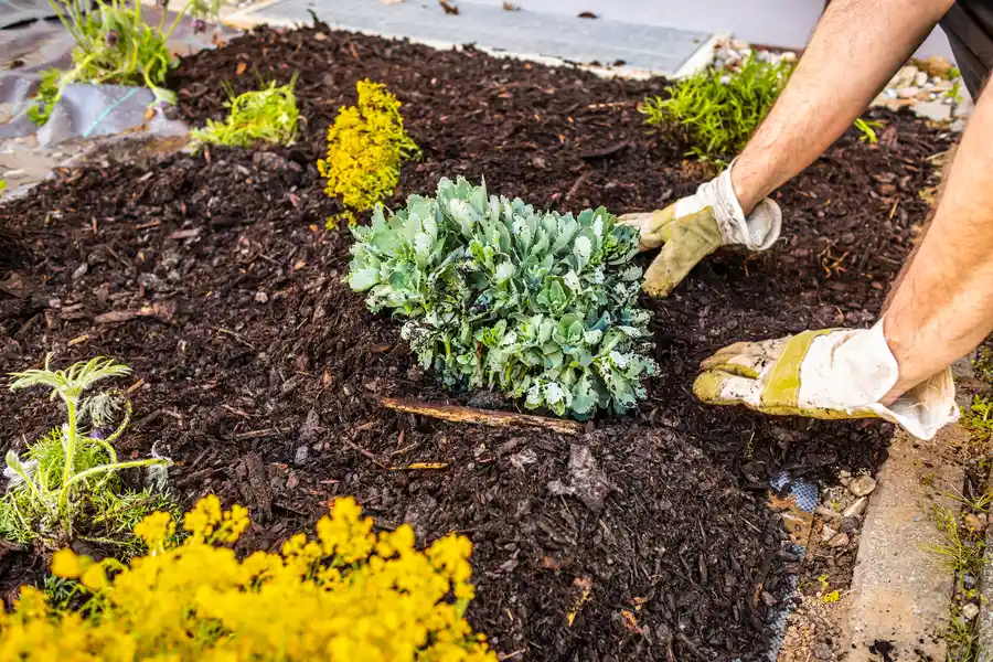 Professional Mulching Greenacres, FL Professional Mulching Greenacres, FL
